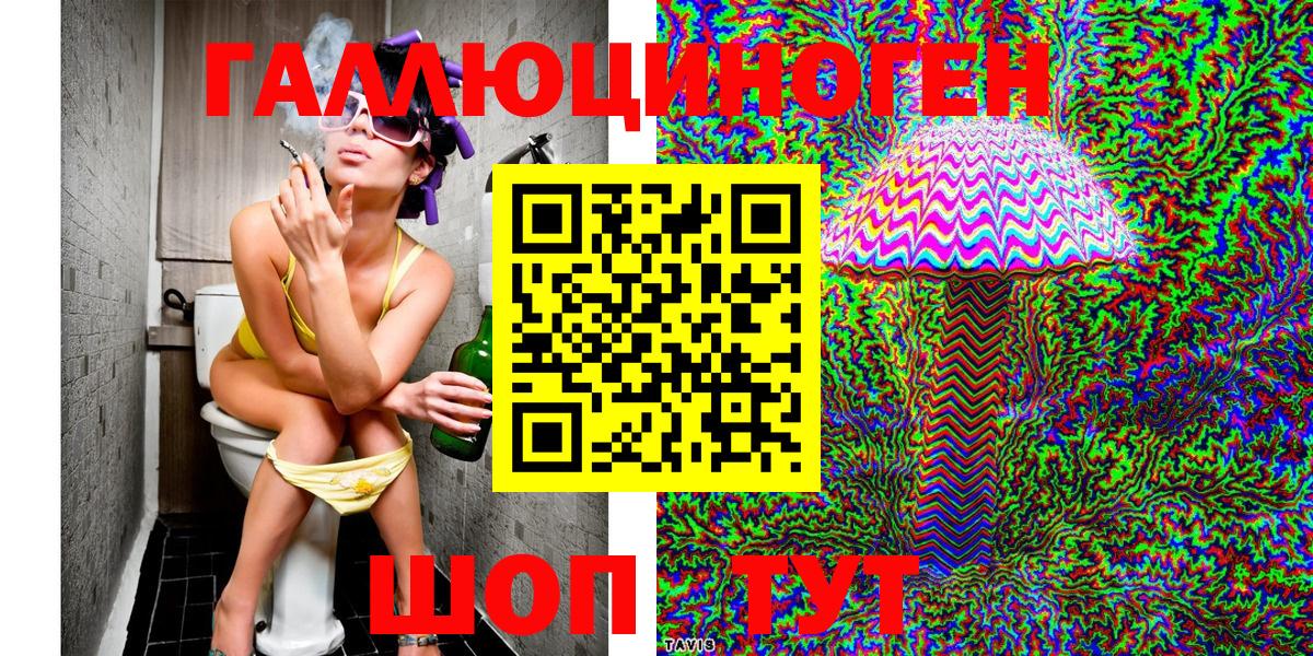 Гусиноозёрск  Галлюциногенные грибы Psilocybine cubensis  Вход с VPN 